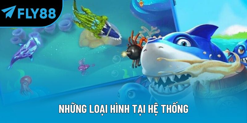 Những loại hình tại hệ thống